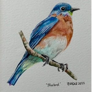 Exhibits at Piermont NH Library