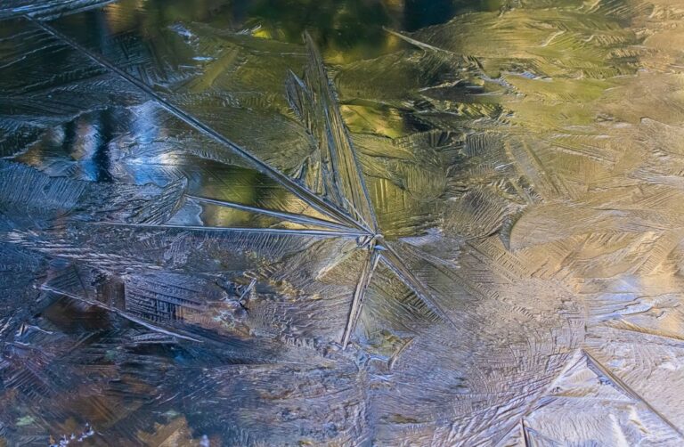 Steve Arcone Photographs at Piermont Library Merge Art and Science